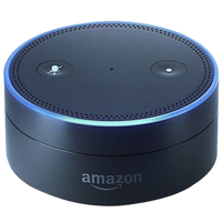 Amazon Echo Dot