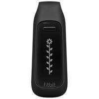 Fitbit One