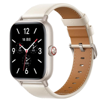 Vivo Watch GT